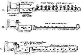 integarated farming.jpg