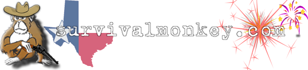 Texas Independence Day