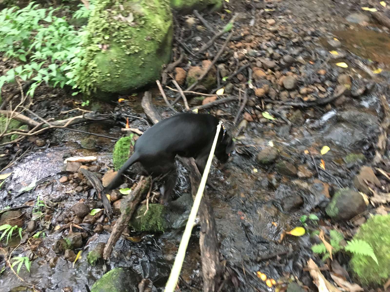 0BBC6B73-081B-4FA5-B956-223539143B4B