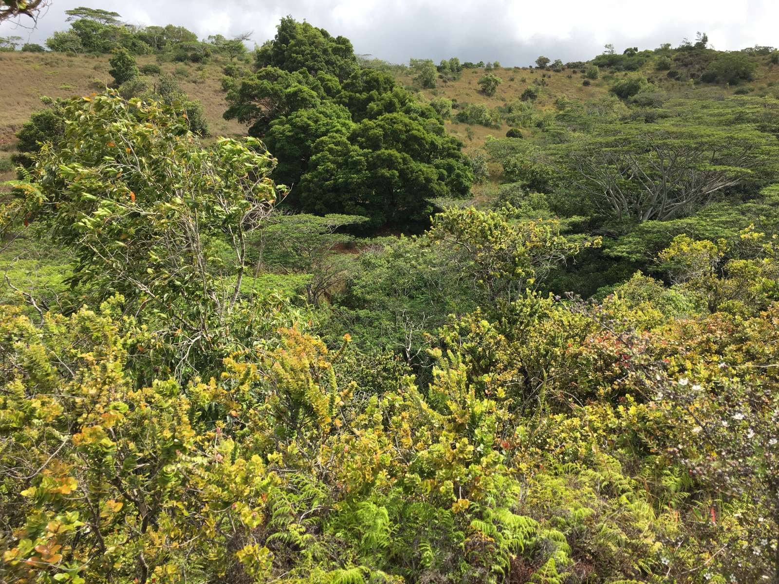 14A6A56D-1D28-400E-910A-765A4BDA4EE2