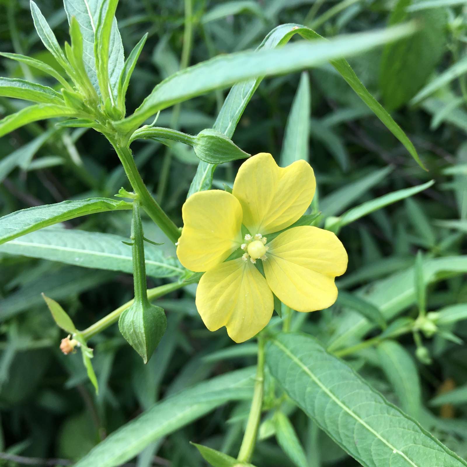 277D8671-DC2F-4674-843D-FBE06670E654