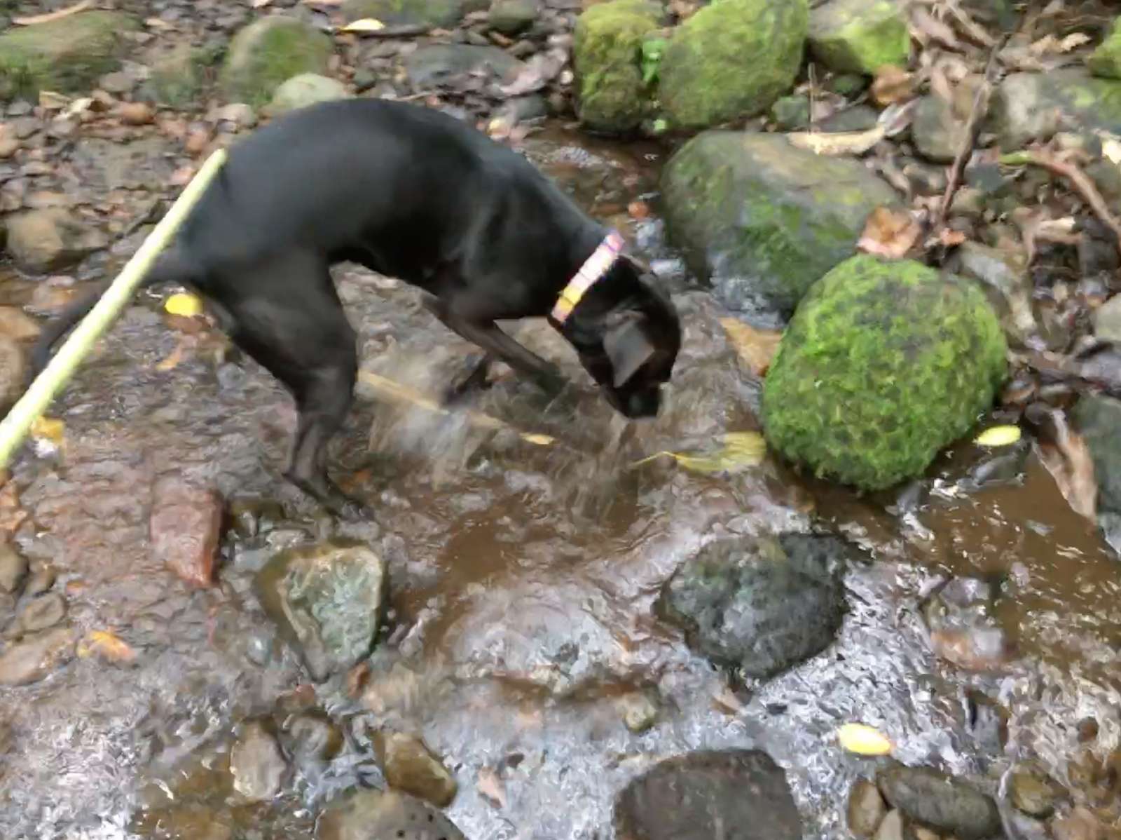 2821A5C2-3C43-41C0-A9D1-EF4437334CB9