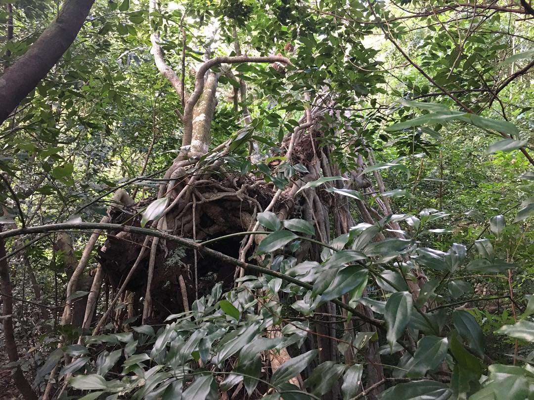 29158FBF-79F0-4FAD-8D8C-B1E9597D0C2E