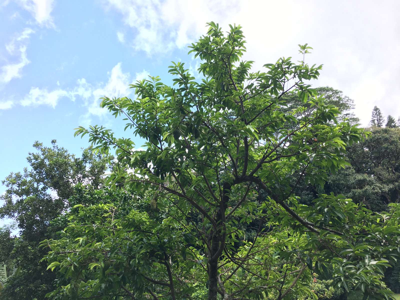 3B6DA307-5308-4488-B64E-935FA5C725E7