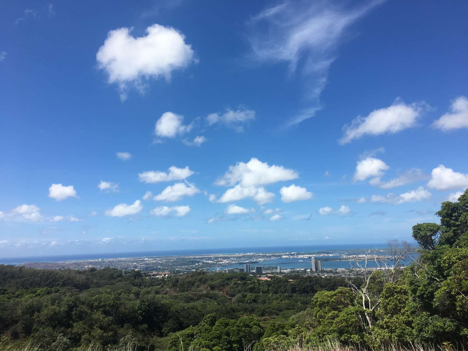 3CAF0B47-9BF2-4763-A82A-243FE2B0CA32