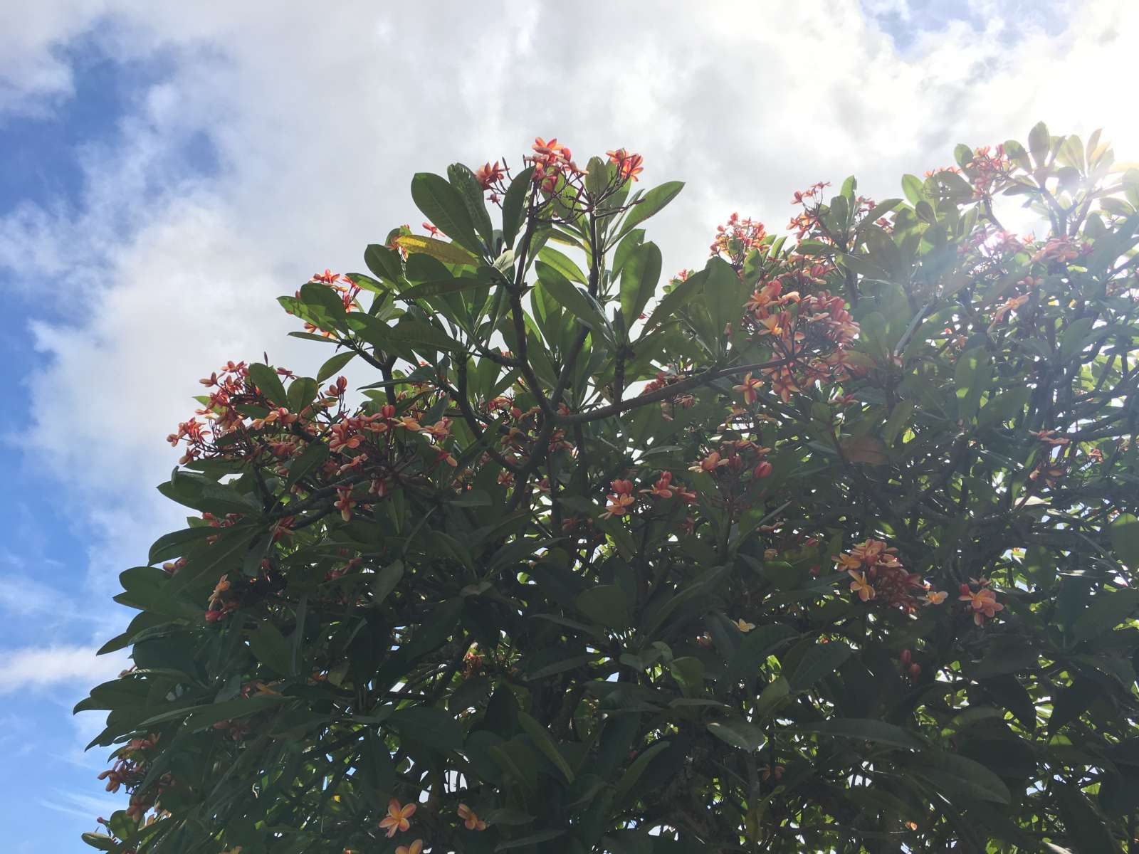 53C17AF1-4355-456E-8B9F-9D1395F37394