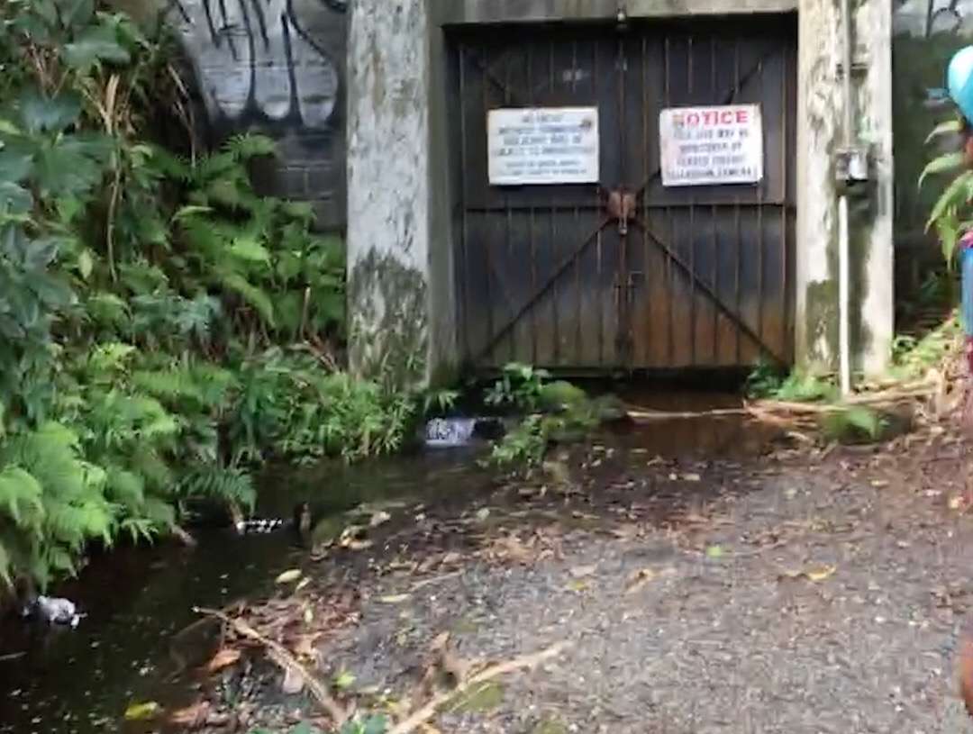 56D44A7F-E234-4D14-9C69-8A71BE181A60