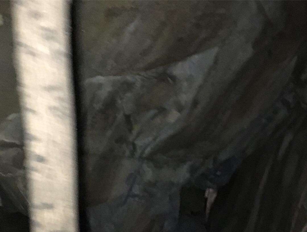 5D36986D-9423-450E-81E8-D1619BE35201