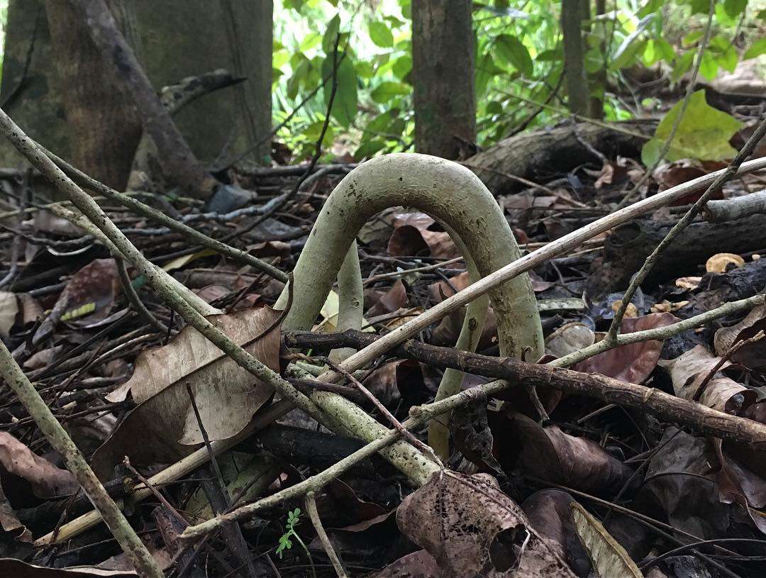 638E14AA-35D4-48AD-9DCC-47A7E0E29623