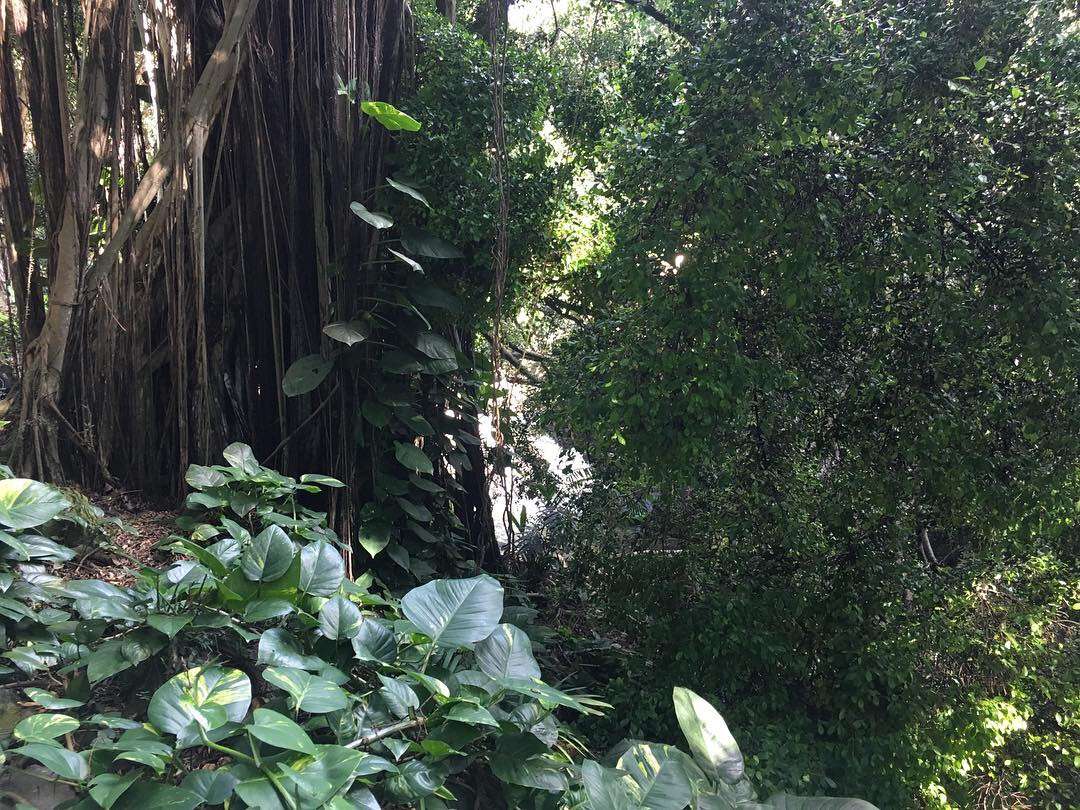 6C226590-CB17-47F7-9C87-880B154BEB36