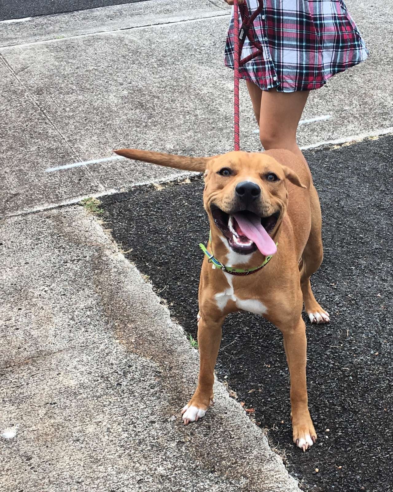 6DC1A0E9-E4C6-4352-A298-67B0BE2BD54D