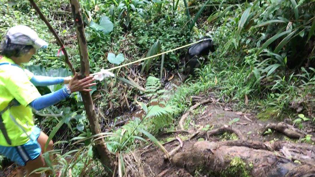 6DDBEC81-807A-464D-8C79-67AD6C9AD71D