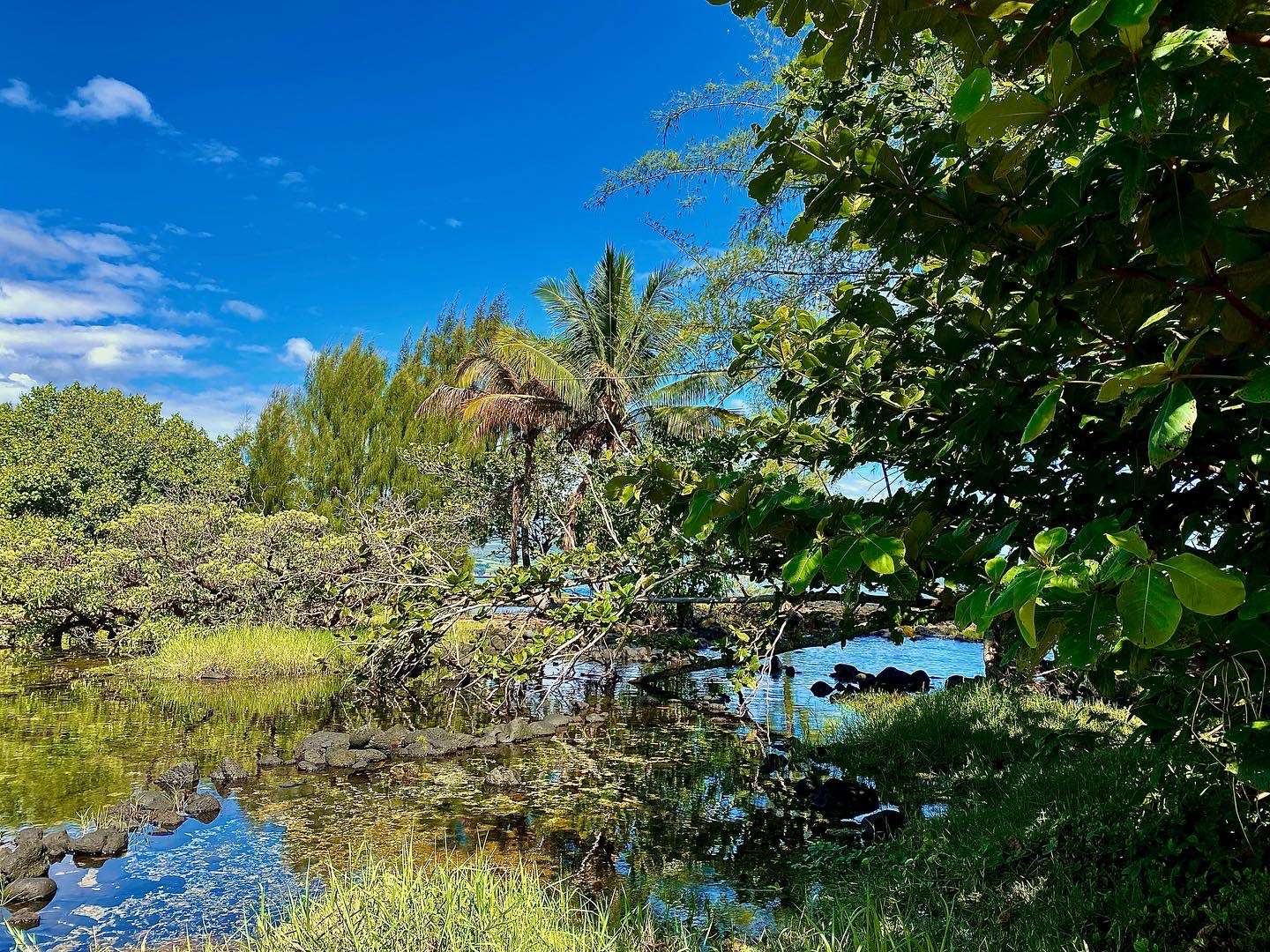 78612BD6-7F33-4ABD-B0AD-67A43F7ACFE1