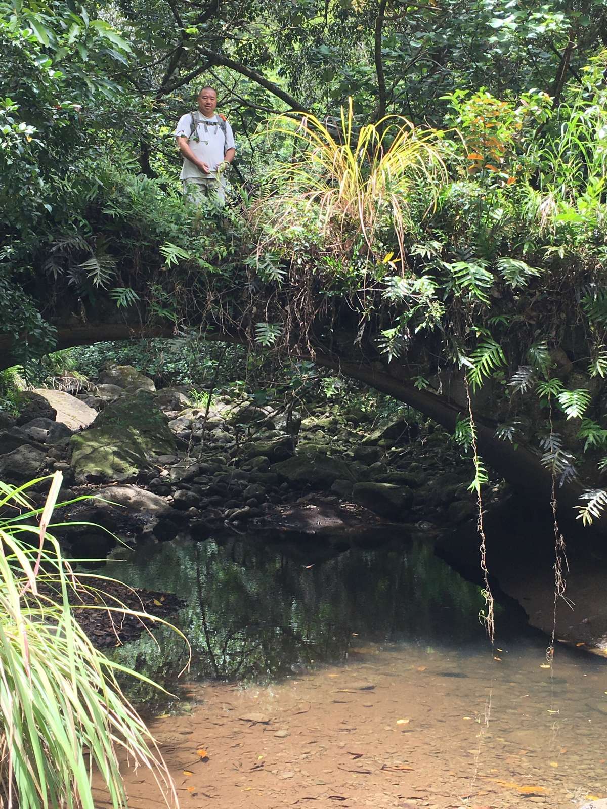 795F775E-7811-42CC-A10D-F38FB9FD03DE