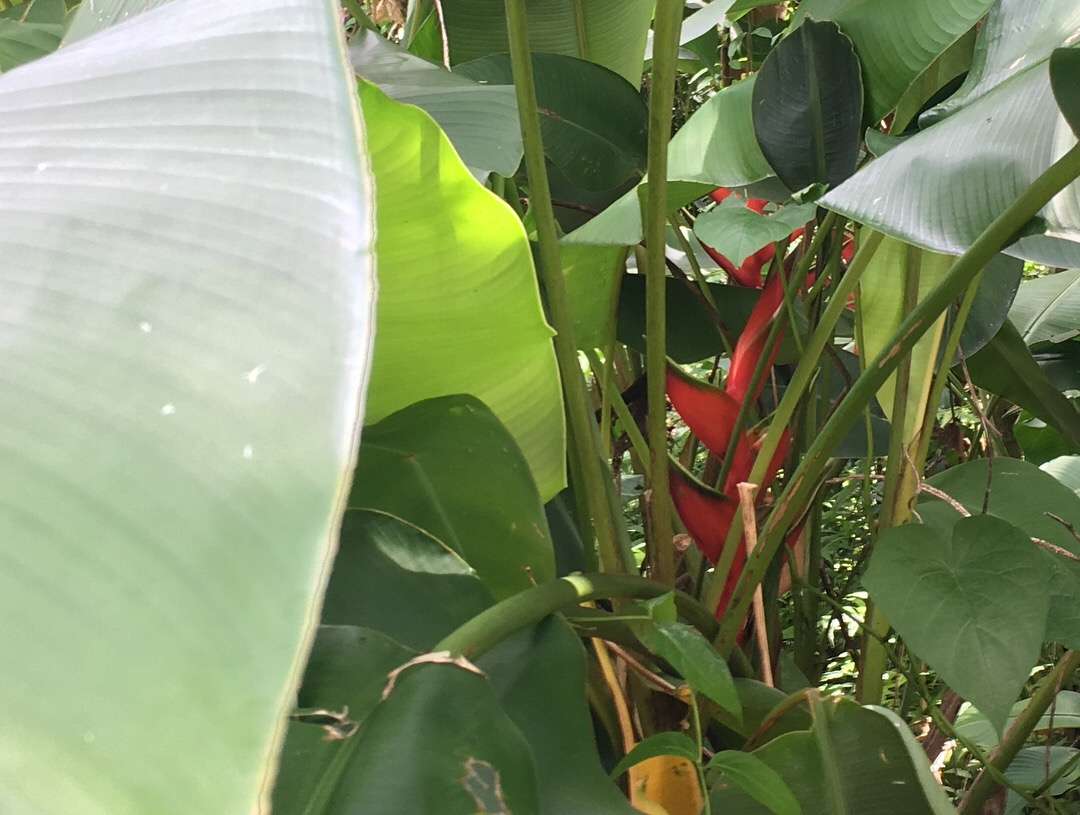 79989775-9992-4D36-BC22-128698CA4C73