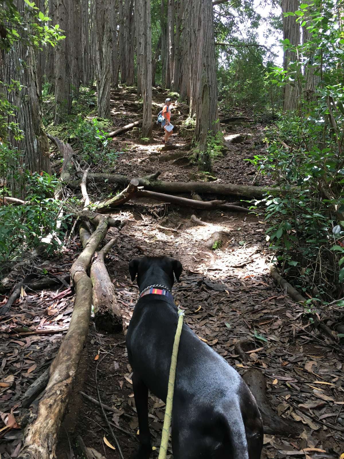 82670BB3-0327-4F0A-921A-7B227132CB2E