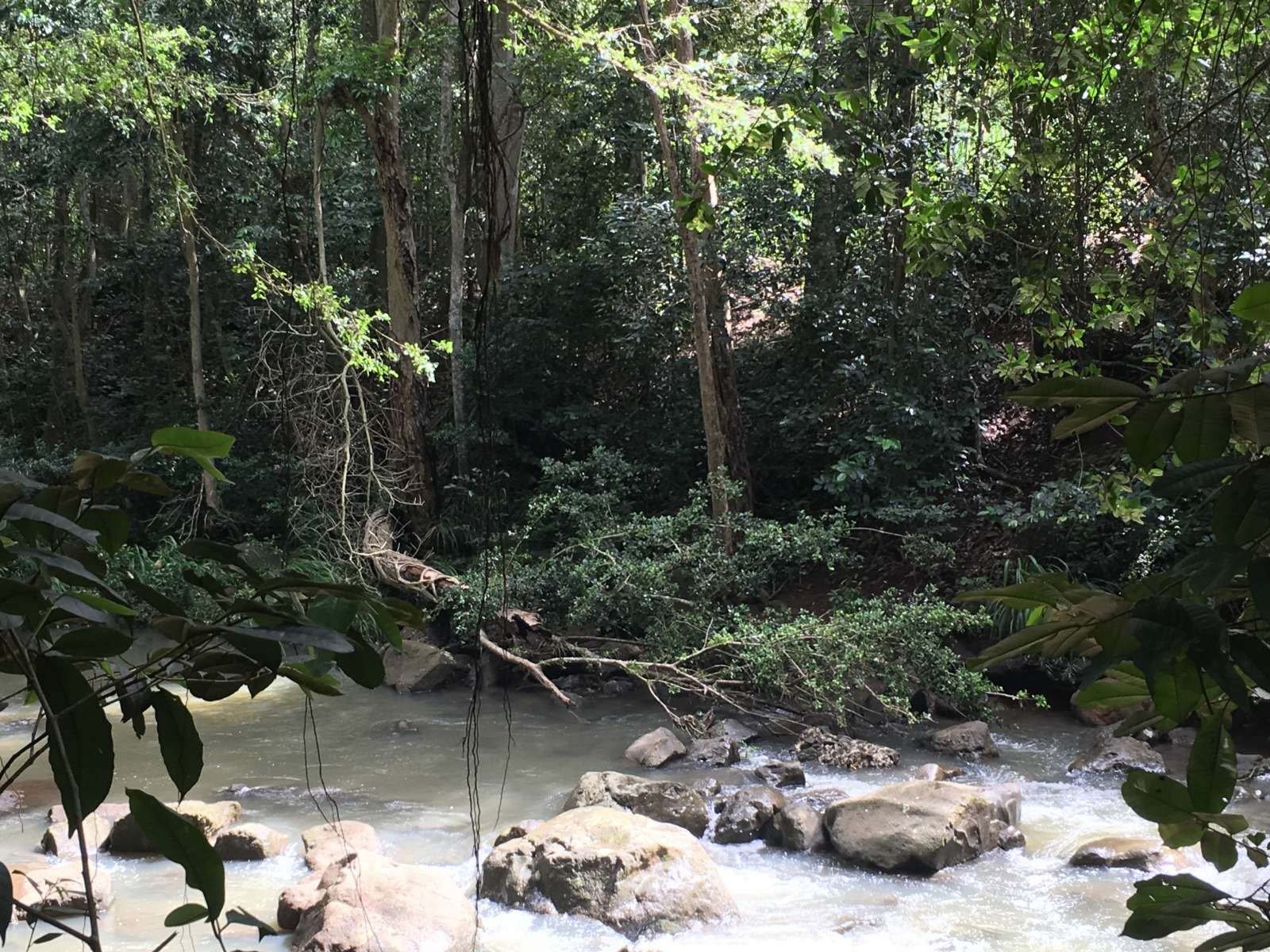 83DCD9E1-2076-486B-B5DF-F812AF419765