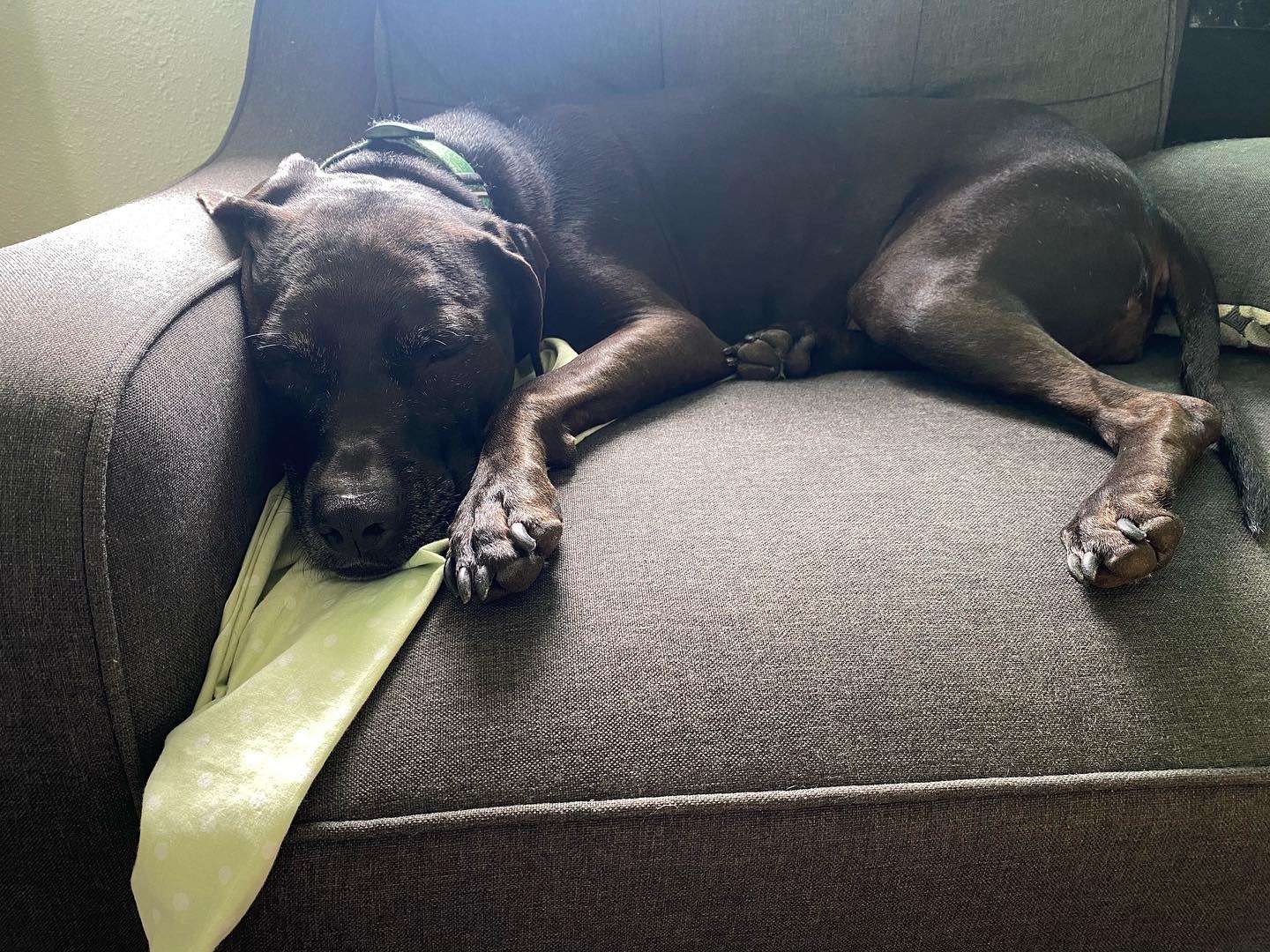 8AA10D2C-F113-4A6B-BE88-C28C1B968C86