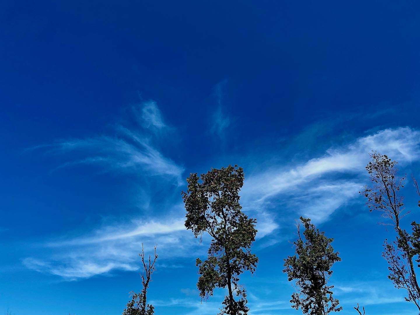 8E83DF59-0AB7-4657-93A5-420703CE311D