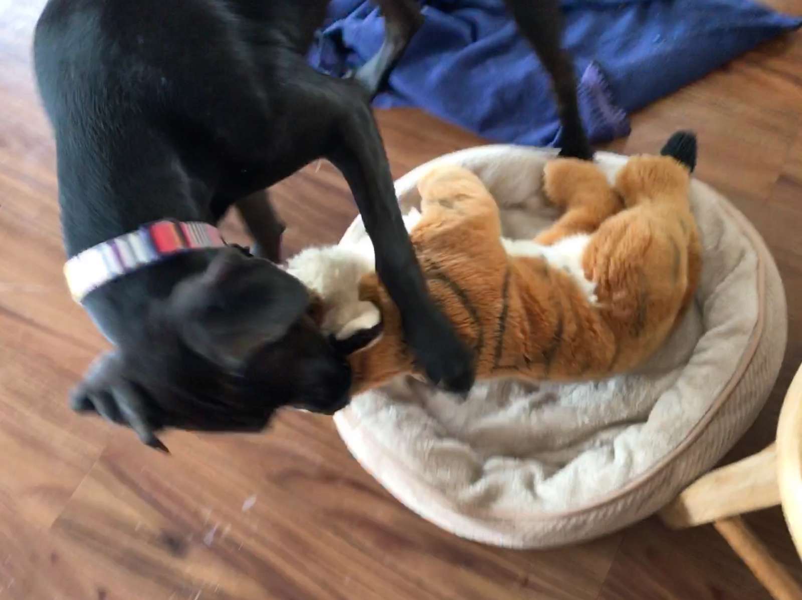 9FBF00E0-93FE-45F2-AE61-7A5D1ECA2C8F