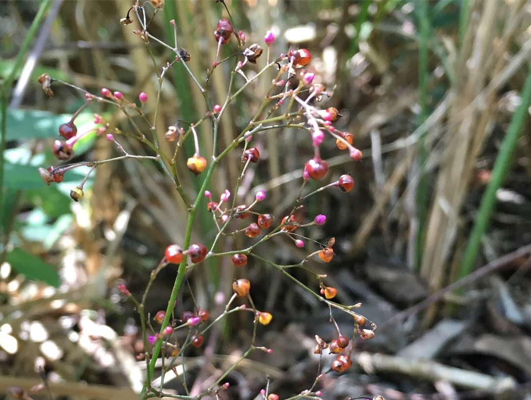 A987C0B3-0591-4B27-82CC-AC565F020EDF