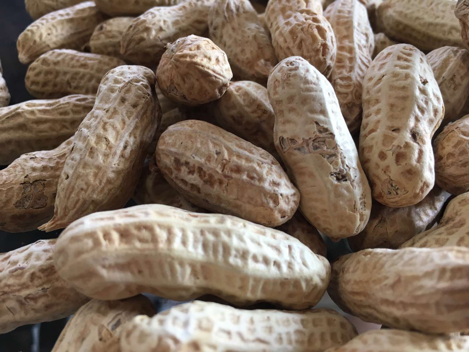 B8866FE4-E888-4F80-B4A3-59AF3CAA73DB