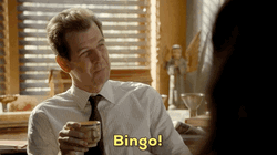 Bingo GIF