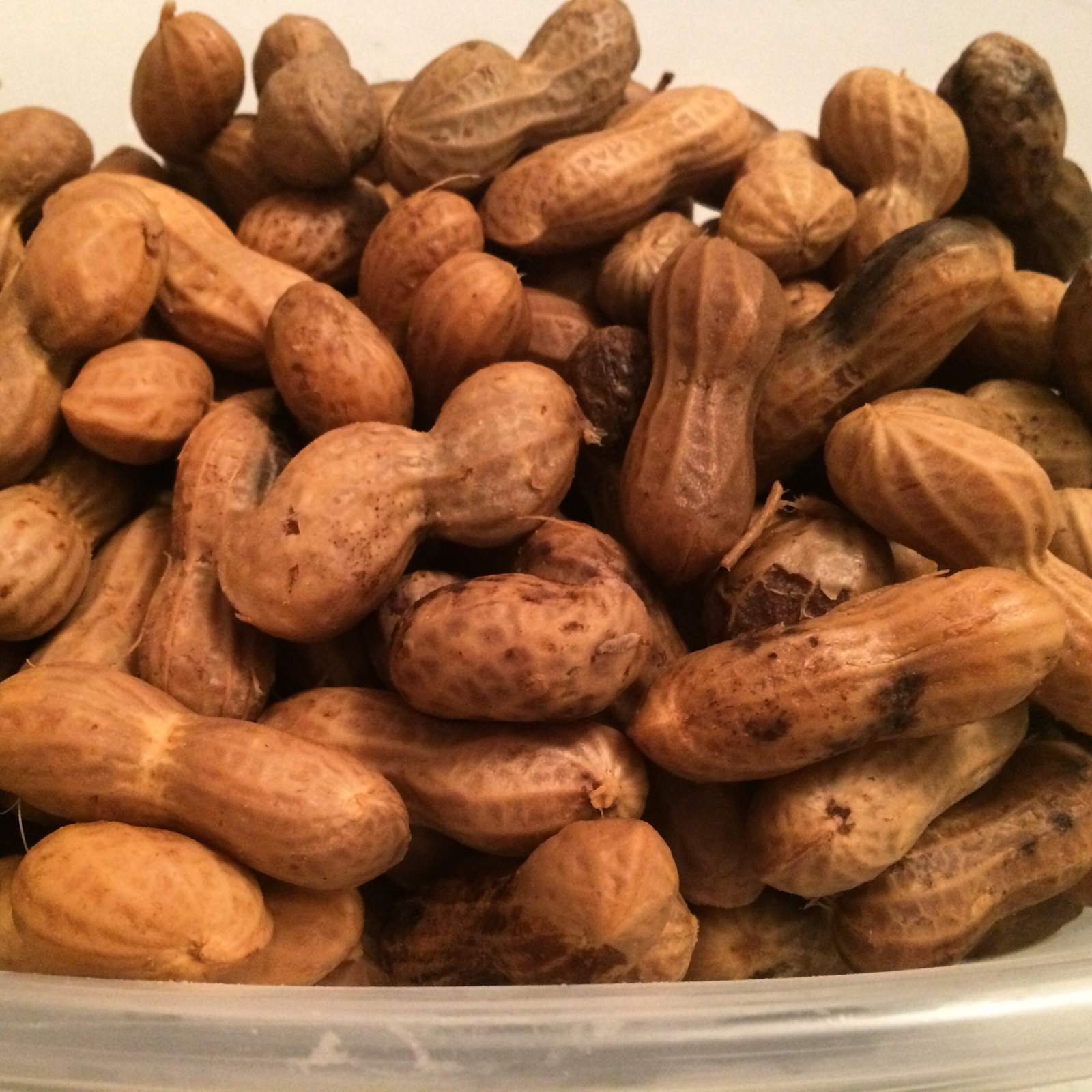 Boiled peanuts