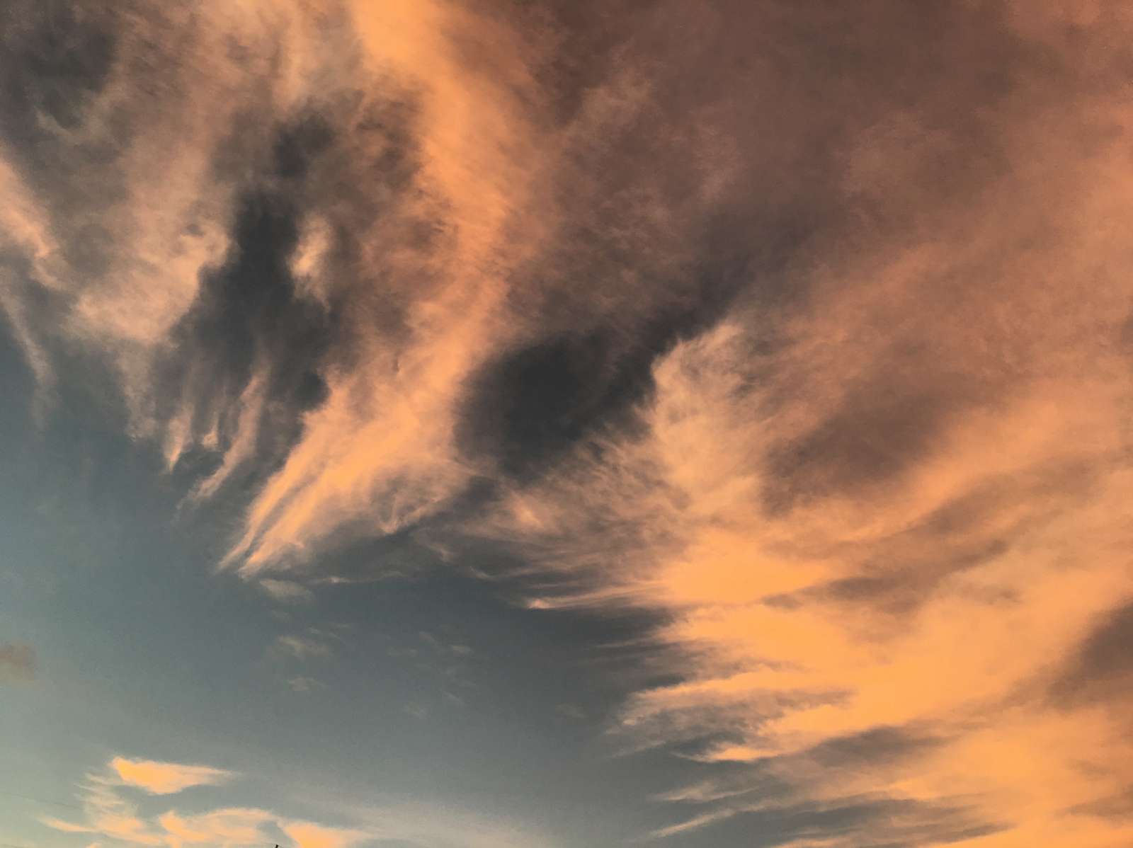 C2155525-A60D-4EBC-97FD-868DA5C608CA