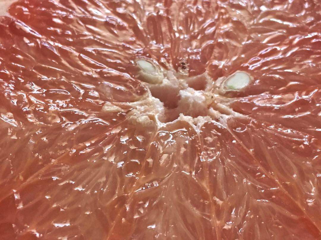 D1D796AA-F133-4A93-8987-B7964D767FEC