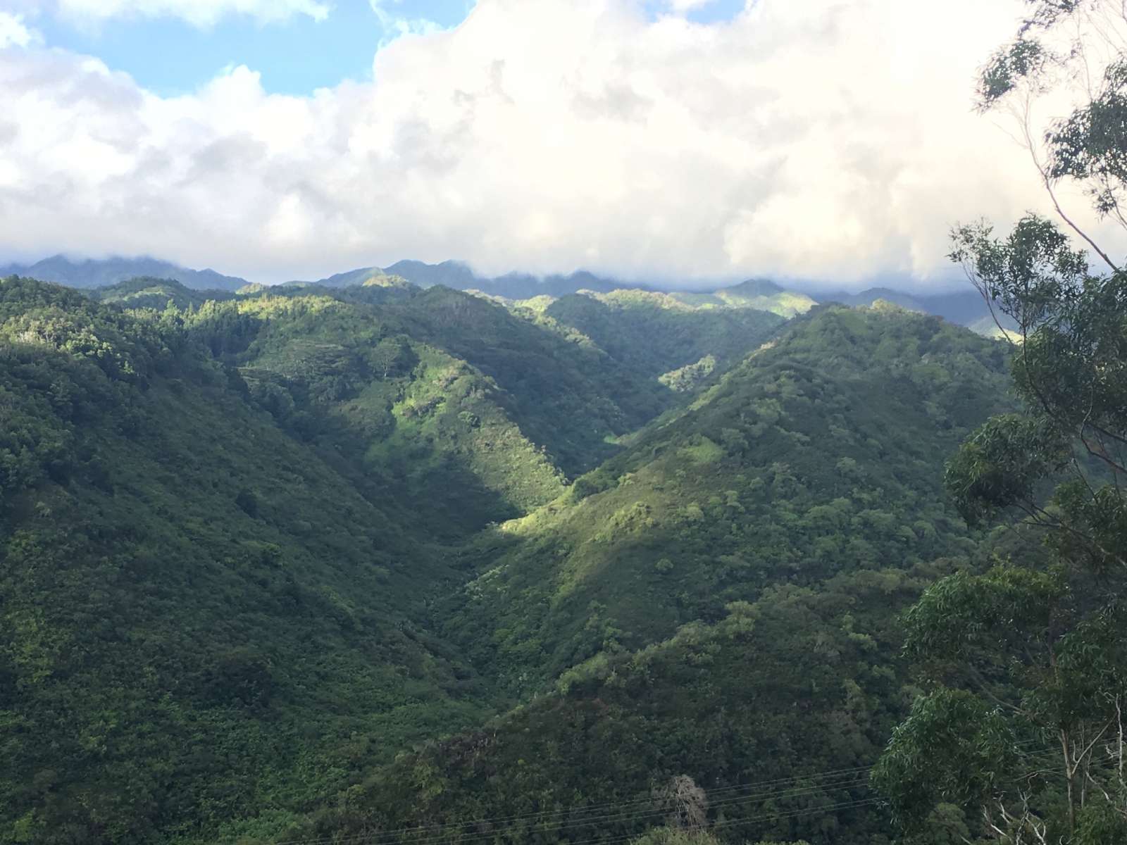 EAE1B423-5A1C-4213-83D3-8113D1101A59