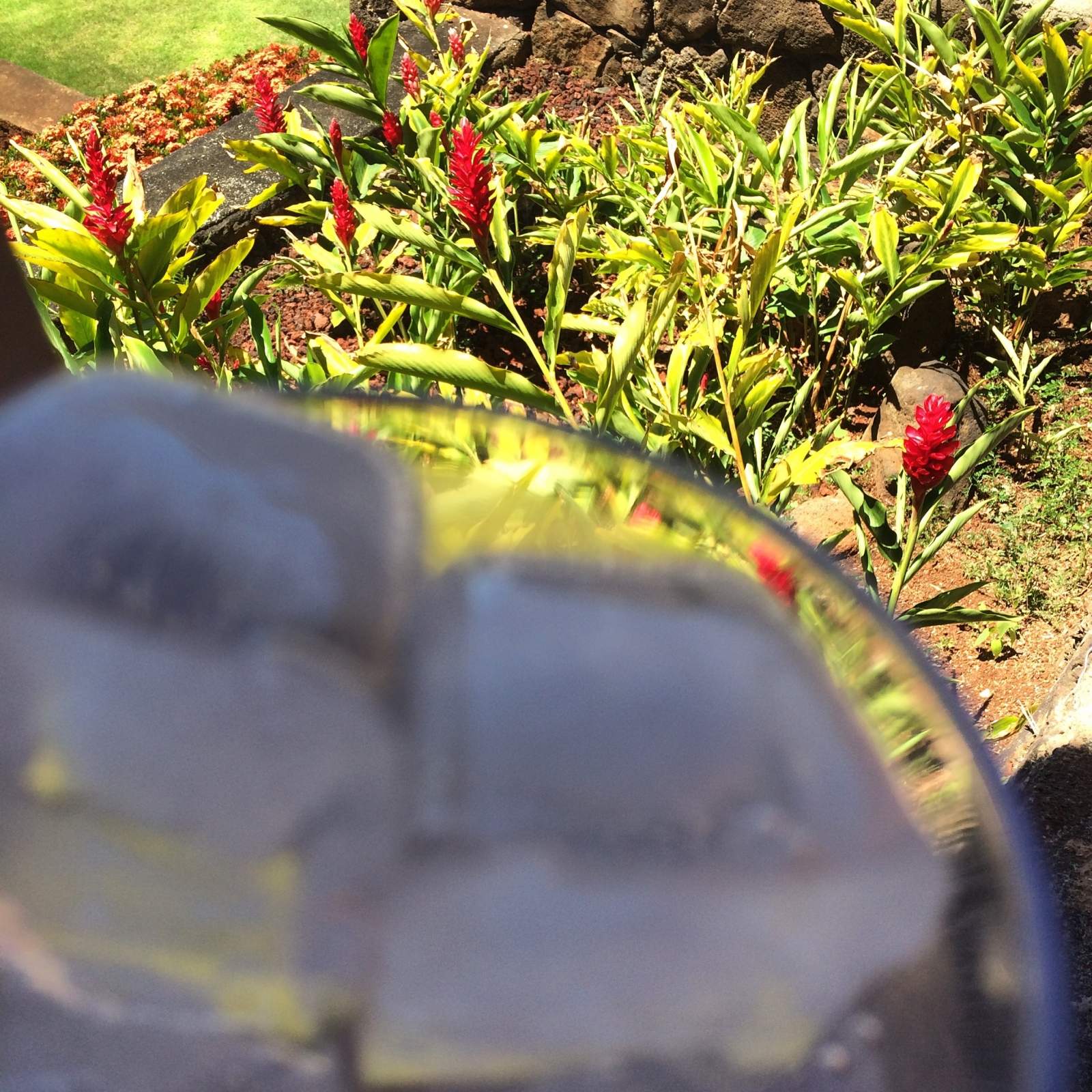 Iced sparkling water on the front porch