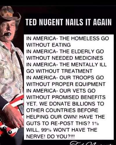 Ted Nugent Nails It