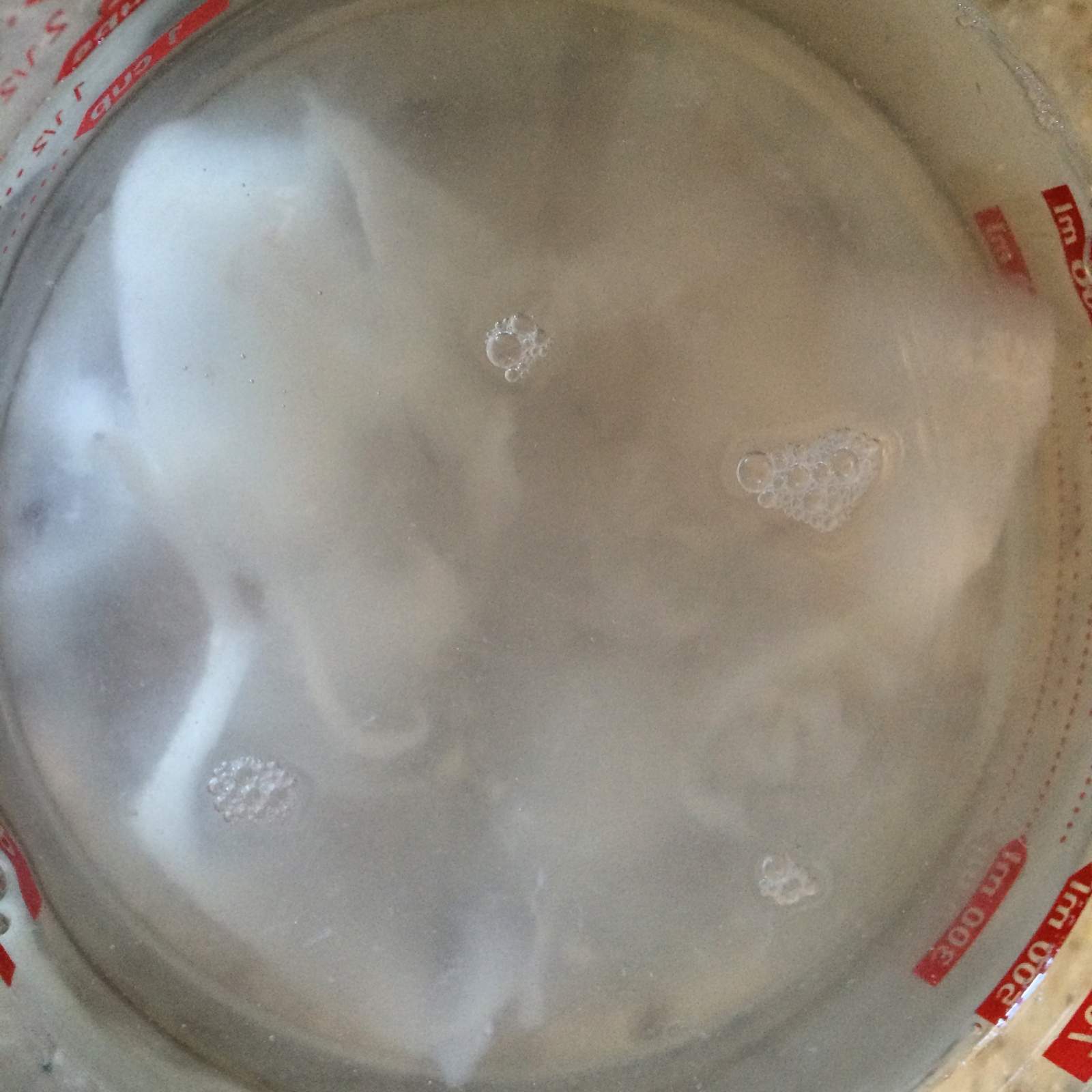 Young coconut water and meat